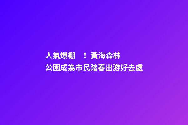 人氣爆棚！黃海森林公園成為市民踏春出游好去處